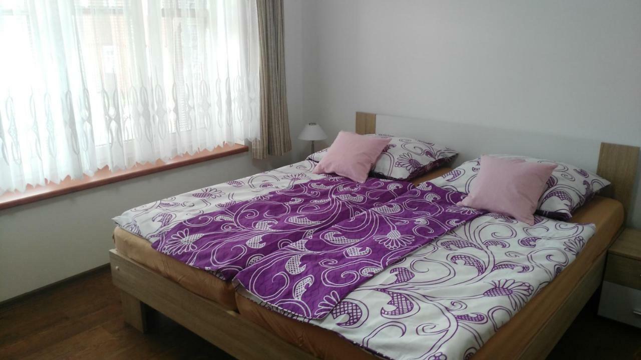 Apartman Eskadra 02 Horní Malá Úpa 外观 照片